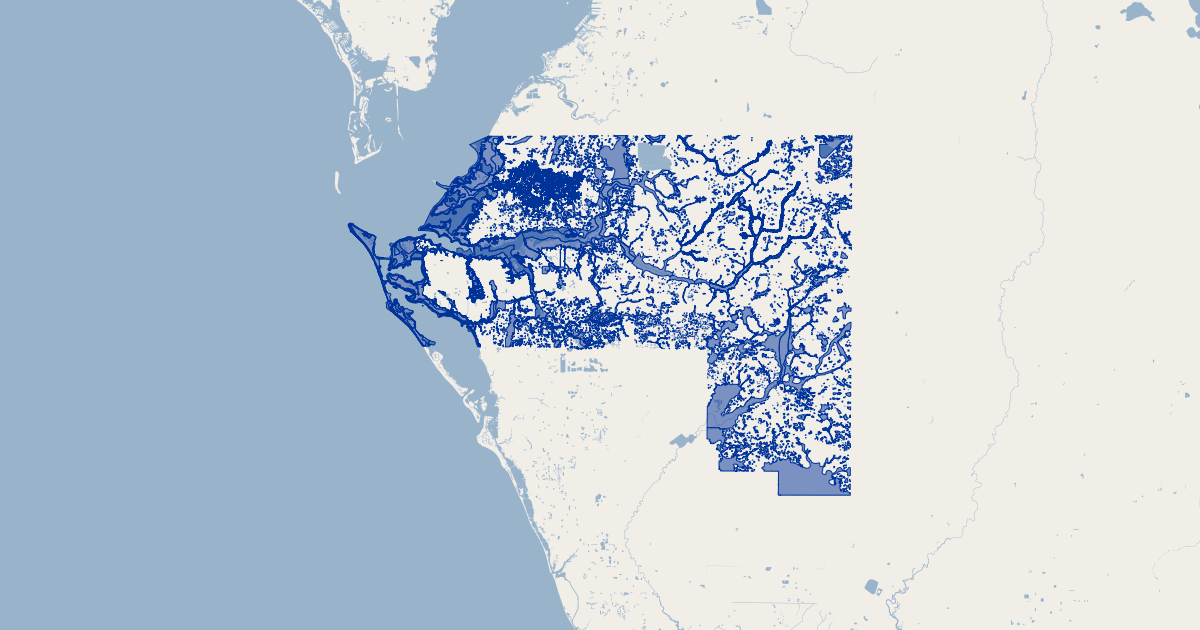 Manatee County, Florida 100 Year Flood Zones  Koordinates