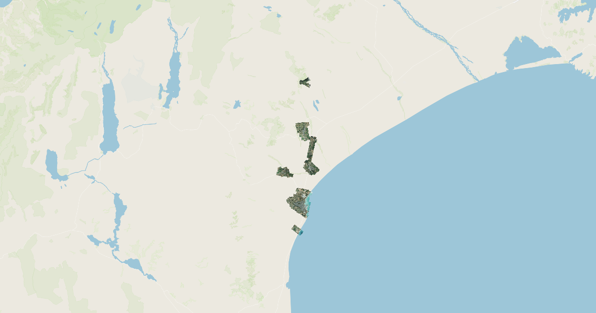 Timaru 0.075m Urban Aerial Photos (2020) | LINZ Data Service