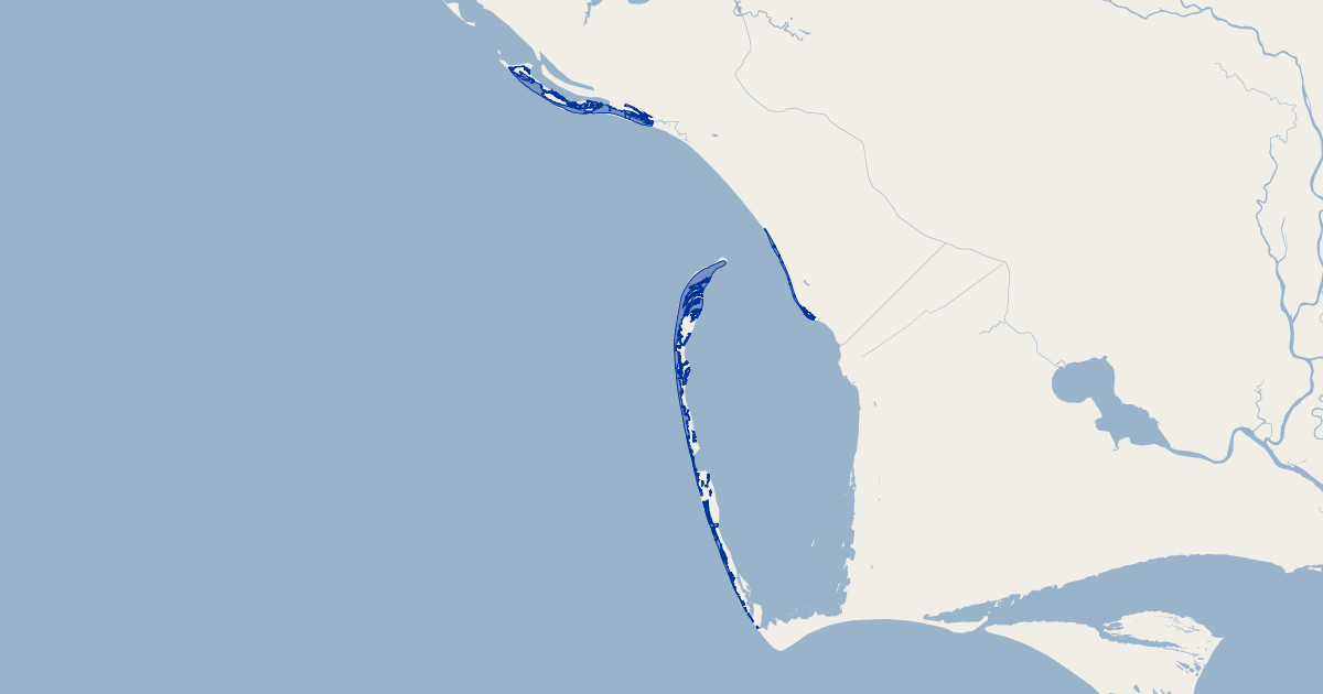 Florida St Andrew Beach Mouse Critical Habitat | Koordinates